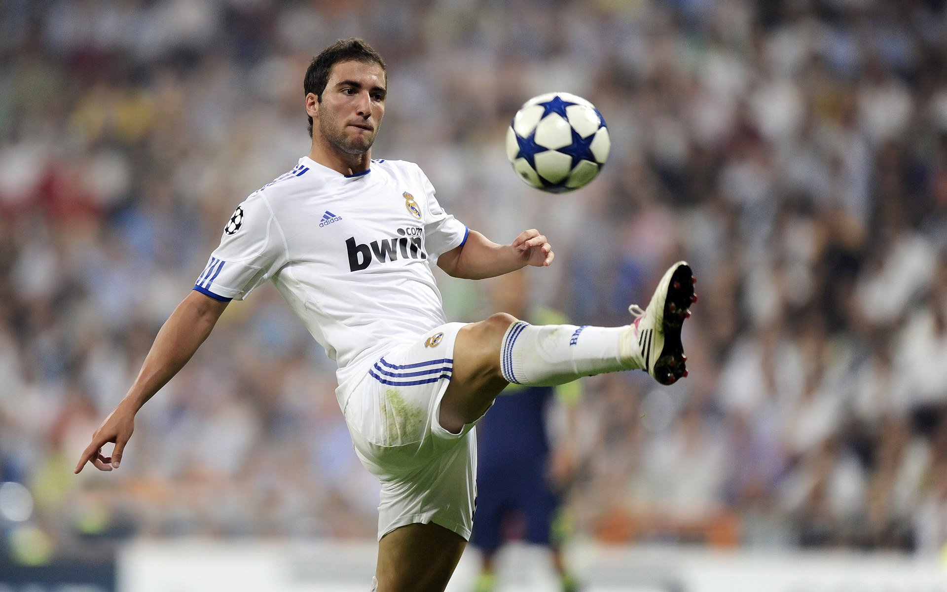 西布朗防线稳固,铝土矿工力保升级席位,西布朗战绩