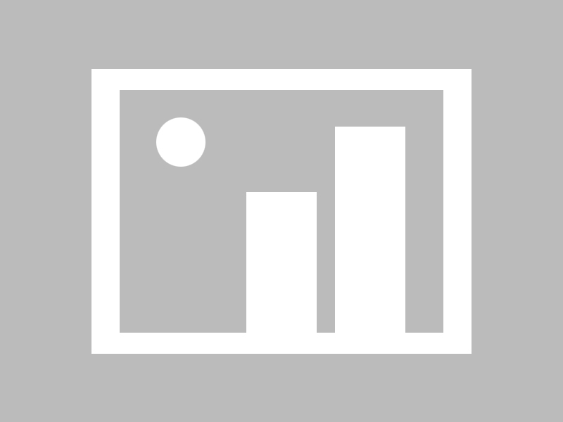 秘闻：里昂大获全胜，晋级欧冠四强！，里昂足球俱乐部欧冠